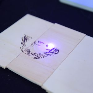 World Cities Congress 2019 - TDL DroneManya