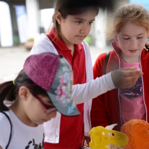 V Weekends Sports - TDL Ödüllü Drone Yarışı