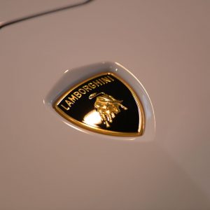 Intercity Istanbul Park Pist Günleri - TDL DroneManya