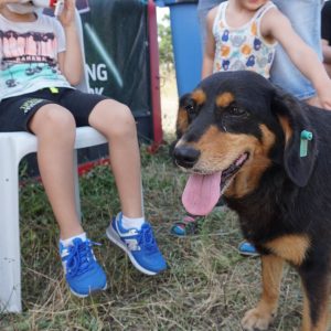 TDL Speedway Açılışı